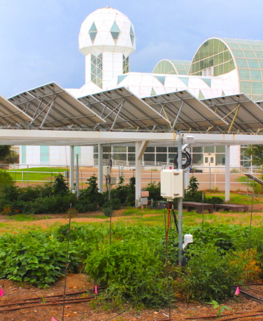 The agrivoltaic design at Biosphere 2.